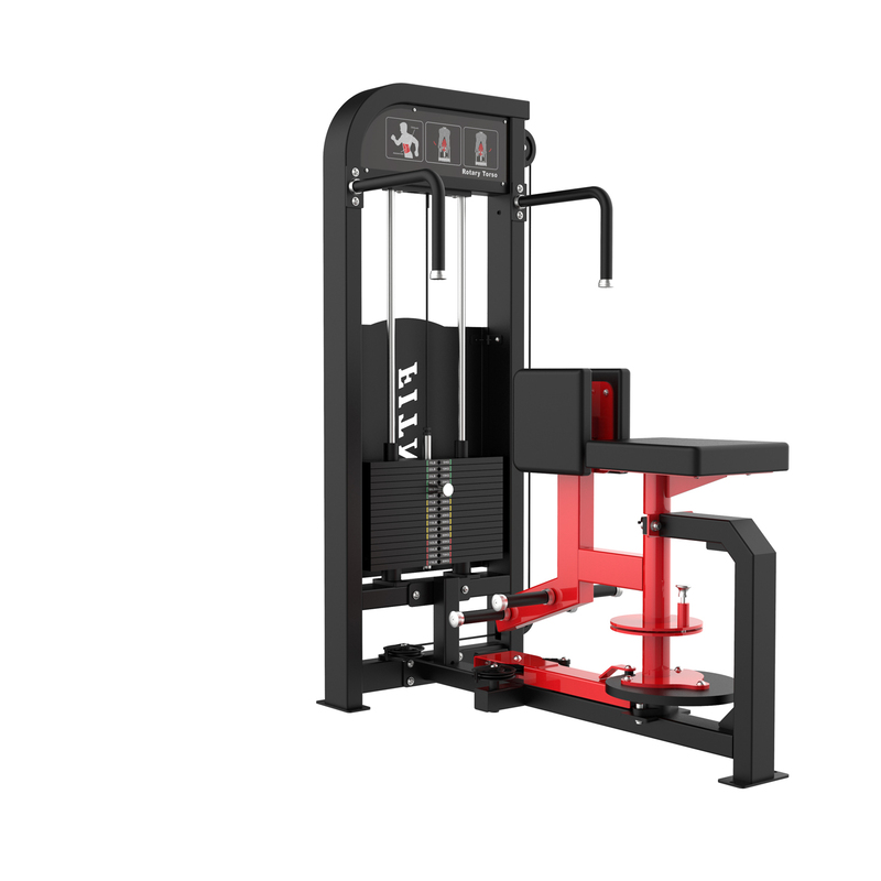 Seated torso rotation trainer