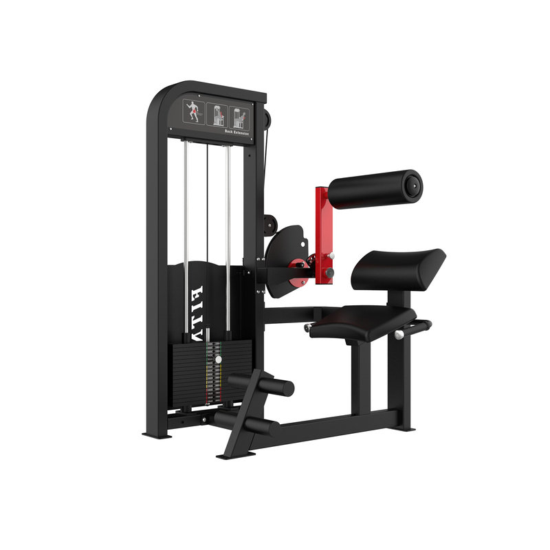 Seated back muscle trainer