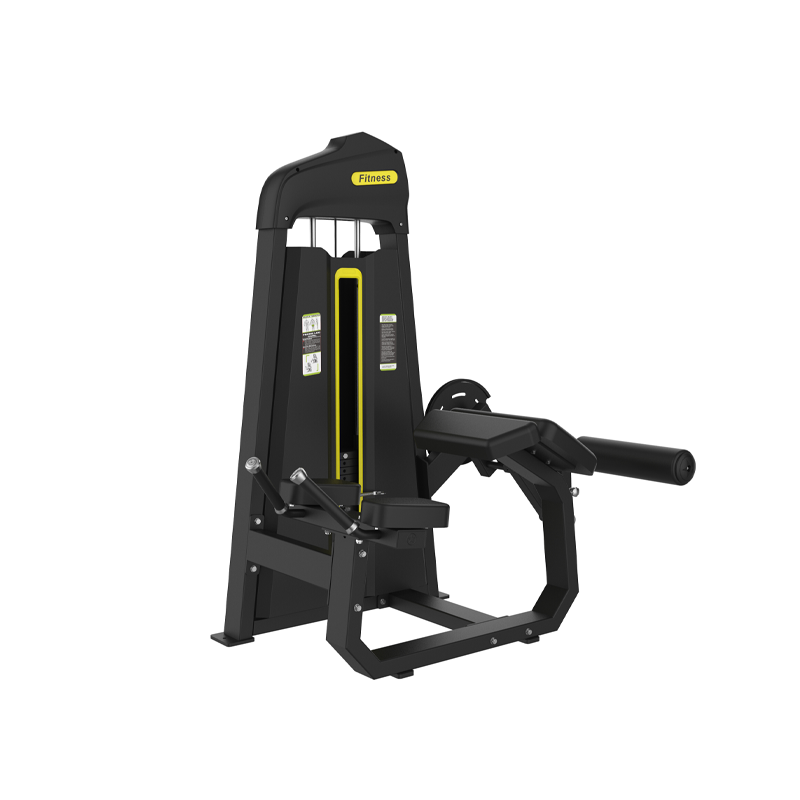 Seated Leg Extension